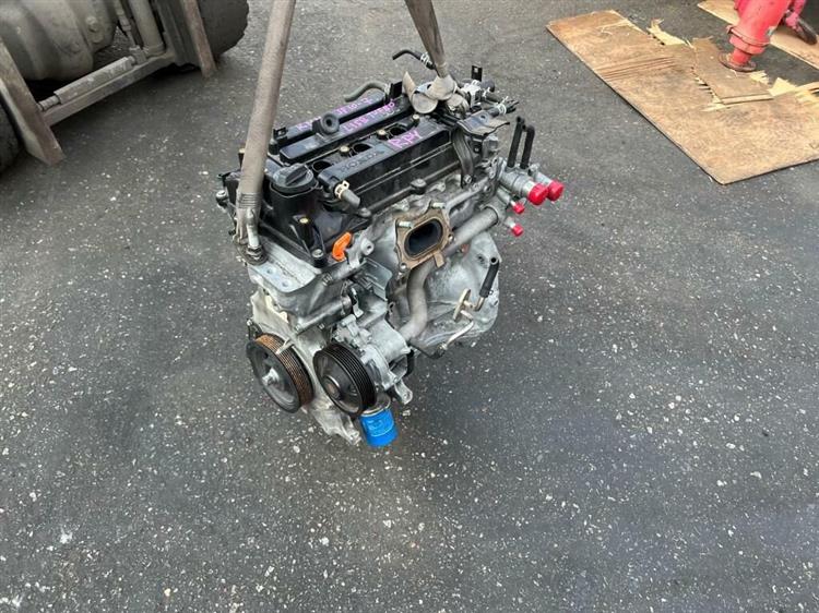 Двигатель Хонда Степвагон в Алейске 241069
