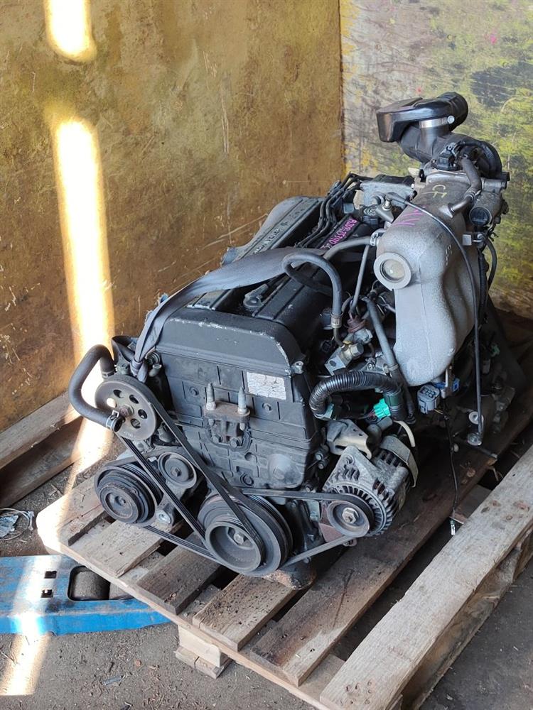 Двигатель Хонда Степвагон в Алейске 731412
